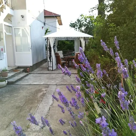 Apartment Lili In Pet Friendly, Free Parking